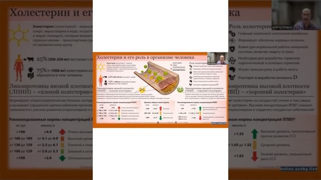 Роля халестырыну ў арганізме смотреть онлайн