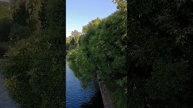 Санкт-Петербург, июнь🌺 смотреть онлайн