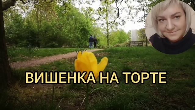 СМОТРЕТЬ ВСЕМ! КАКАЯ ЖЕ ОНА ГНИЛЬ. ПИРАТСКАЯ ЖИЗНЬ. ОБЗОР. смотреть онлайн