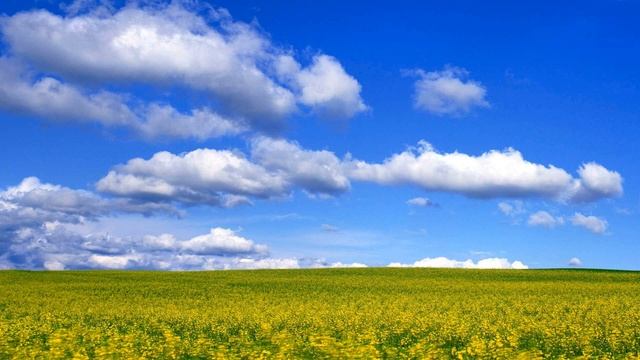 Роман мокроусов - песня "А ты люби" /пробуждающие вдохновляющие песни! смотреть онлайн