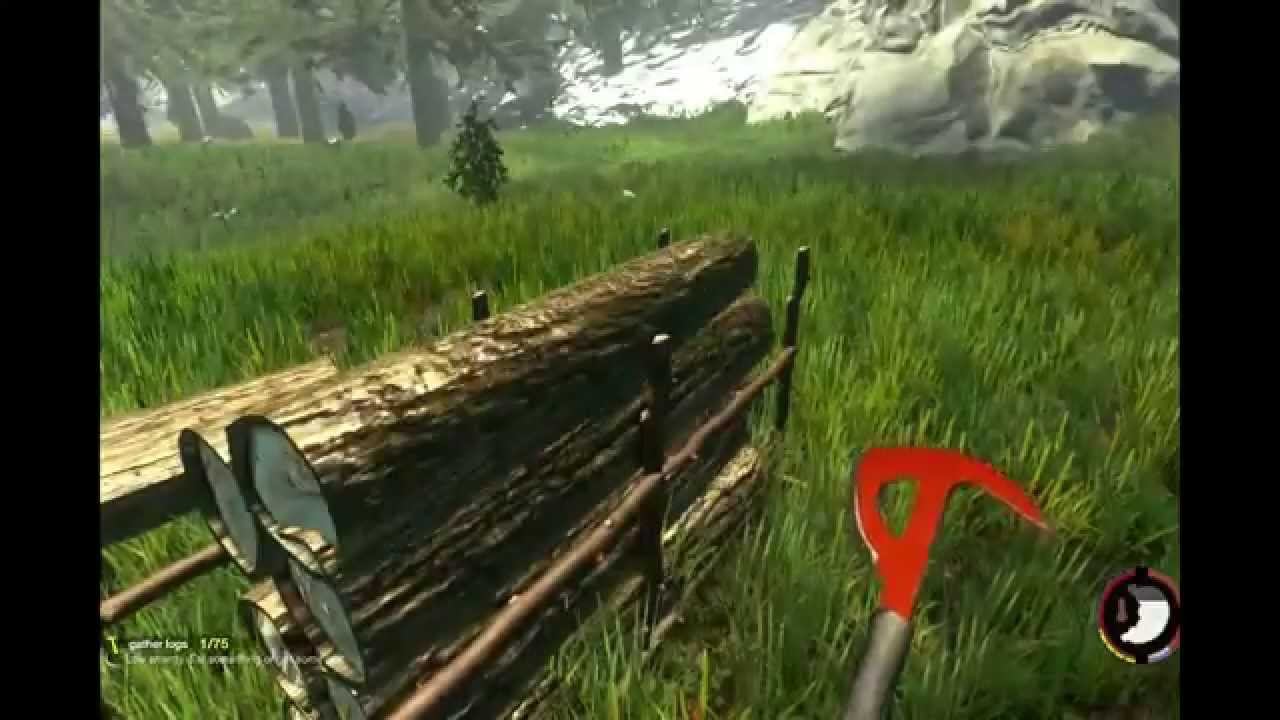My Forest Video смотреть онлайн