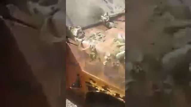 В Калуге со дна реки вытащили автомобиль,пролежавший в воде 18 лет смотреть онлайн
