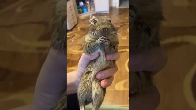 Как он вкусно ест смотреть онлайн