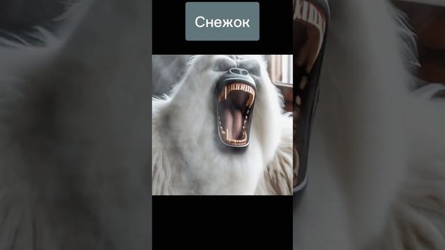 "Лунный портал" #книги #фэнтези #магия смотреть онлайн