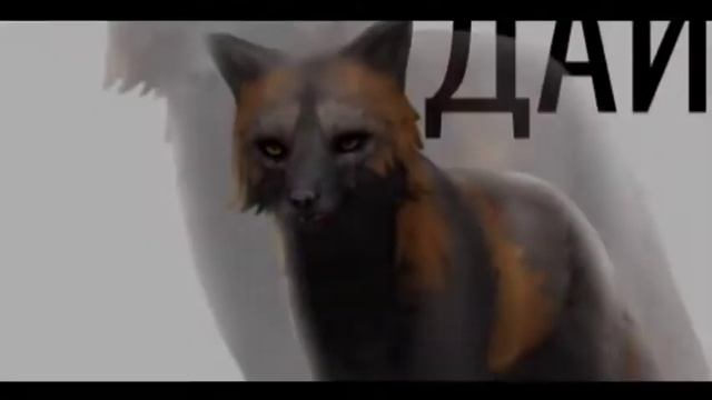 | wcmv дорогу молодым | смотреть онлайн