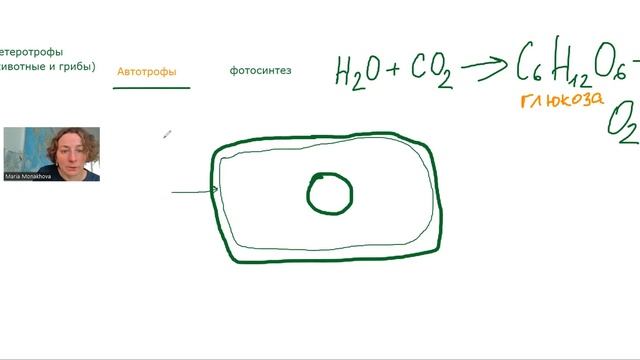 Ботаника-1 для ФШ