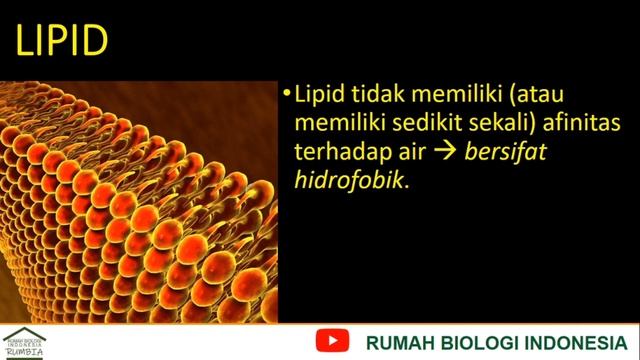 Pengantar Biomolekul смотреть онлайн