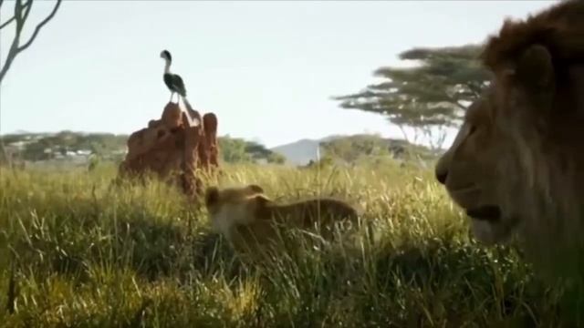 Арыстан патша 07 смотреть онлайн