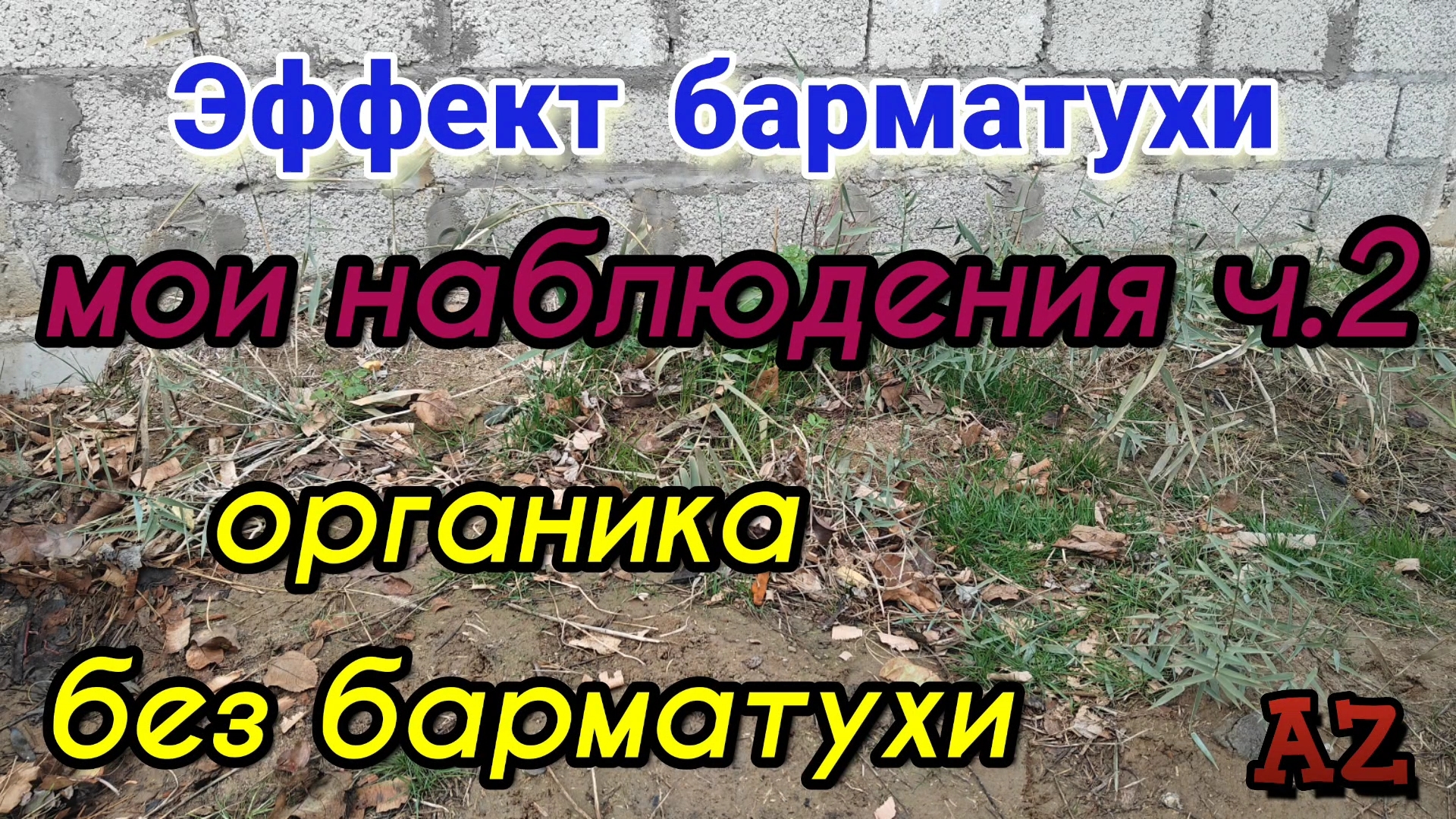 Органика без барматухи. Мои наблюдения ч.2 03.12.2024