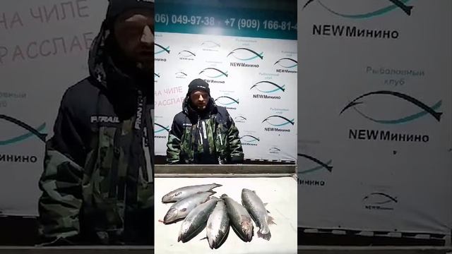 гость водоёма смотреть онлайн