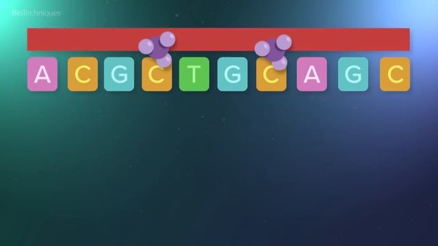 Detecting DNA methylation in the human genome смотреть онлайн