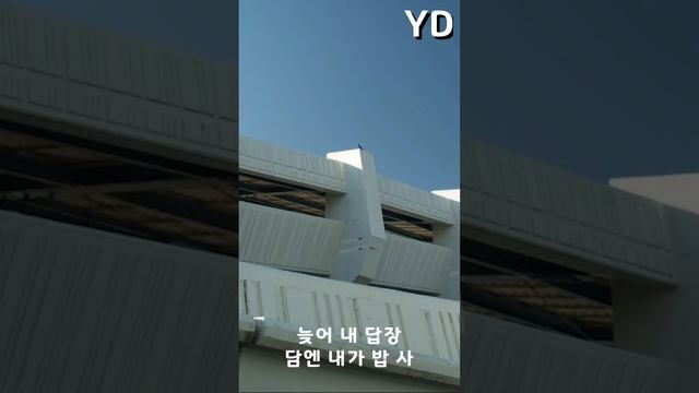 새벽에 들으면 하루 피로 다 날아가는 pH-1벌스🌙 смотреть онлайн