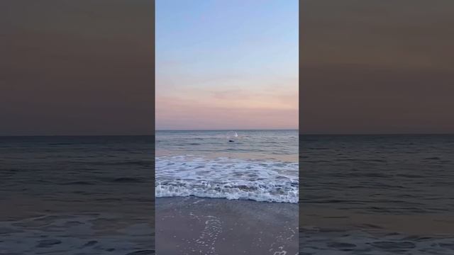 ये बंदा वॉल के अंदर फस गया