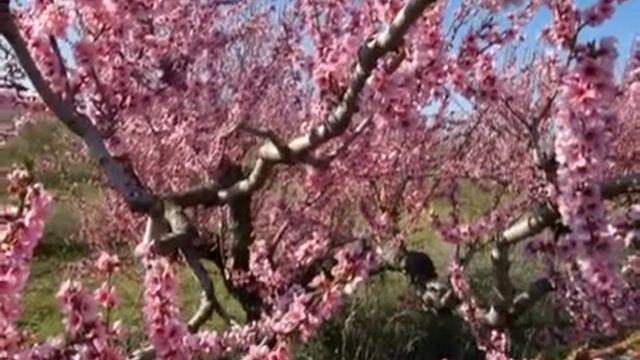 СКАЗОЧНЫЙ КРЫМ 0 смотреть онлайн