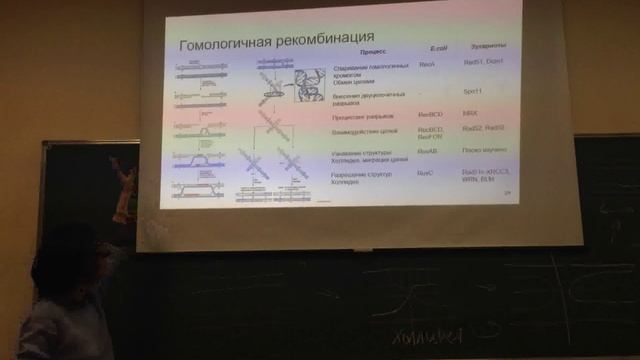 Молекулярная биология - Лекция 8 - 3 из 3 смотреть онлайн