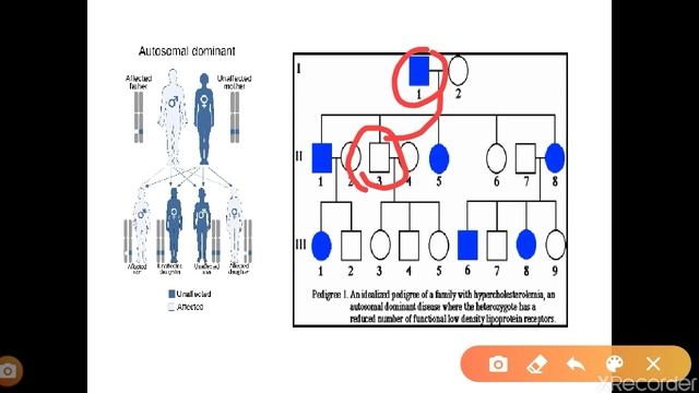 Pedigree Analysis - Genetics Part 4 смотреть онлайн