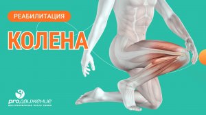 🦵 Реабилитация колена