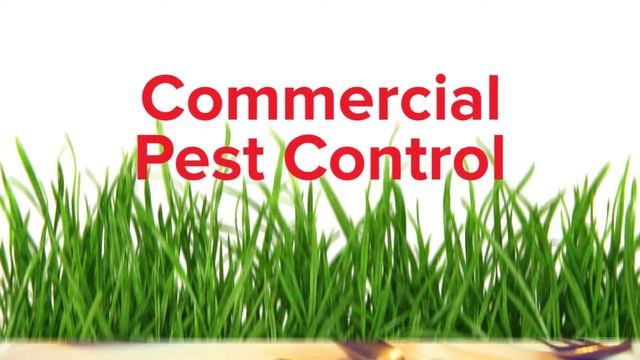 Ameri-Tech Pest Control Scurry TX 75158 Rodent Control смотреть онлайн