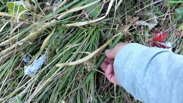 ҚАЗАҚ ТАБИҒАТЫ КЕРЕМЕТ.ДРОНМЕН КӨРІНІС.HIKING, CAMPING FOR 3 DAYS. смотреть онлайн