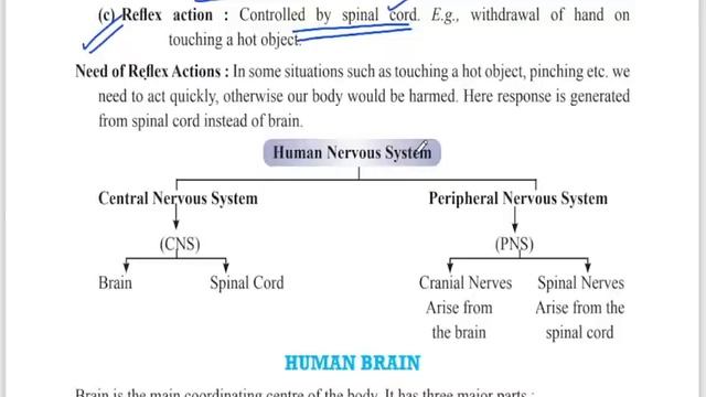 SSLC SCIENCE - IMPORTANT POINTS TO REMEMBER смотреть онлайн