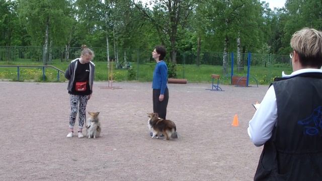 сравнение на лучшего в соревнованиях 