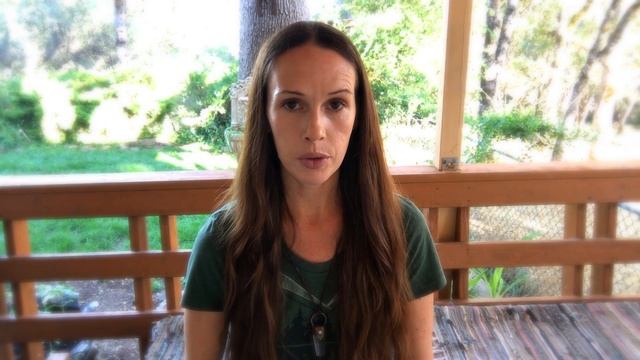 Video Introduction to Vegan Leathers смотреть онлайн