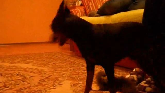 Dusha Moya Isadora Duncan & Eroshka From Splendid Family