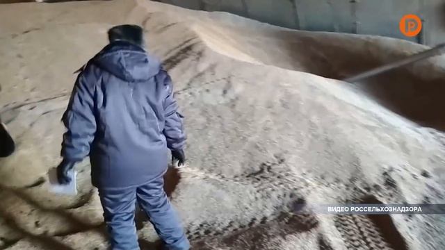 300 тонн ржи не дошли до потребителя смотреть онлайн