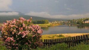 Тихий омут. Душевная песня!Елена Серикова