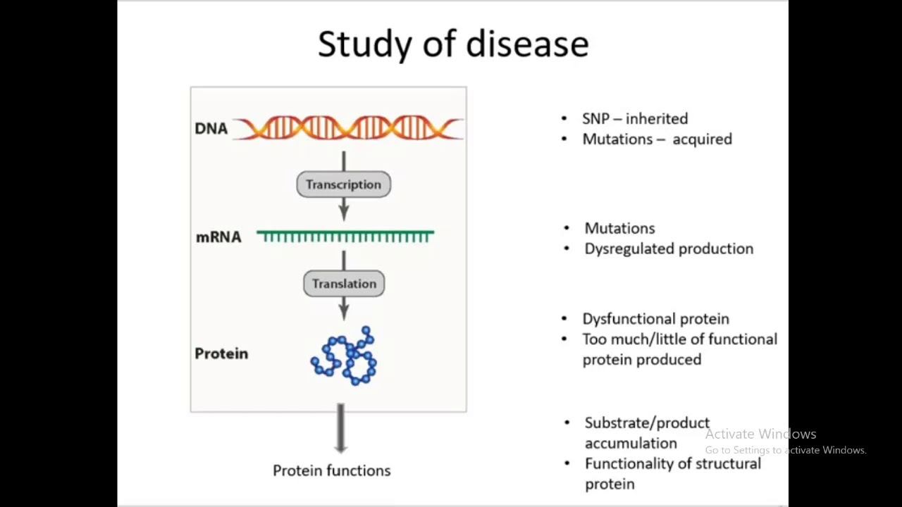 BIO453 TOTAL смотреть онлайн