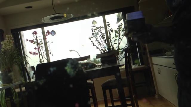 Lifeproof case water test: iPhone 5 records video underwater in saltwater fish tank смотреть онлайн