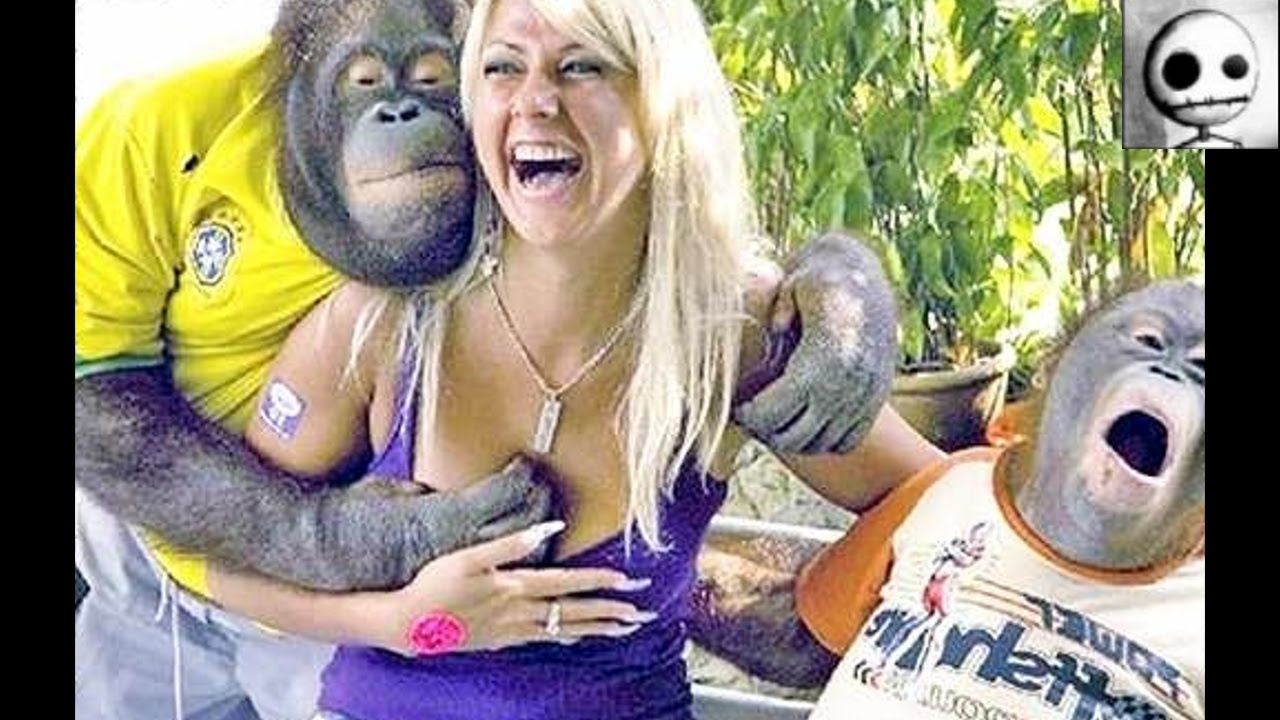 Funny video TV #8 Смешное видео смотреть онлайн