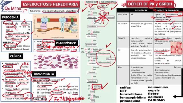 Hematología - 3  RM19 2V DIA 1 HEMATO  ANEMIA MEGALOBLASTICA ANEMIAS HEMOLITICAS Y AUTOINMUNE  HPN