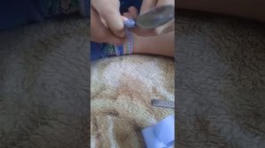 Как вызвать домового