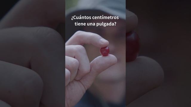 ¿Cuántos centímetros tiene una pulgada? смотреть онлайн