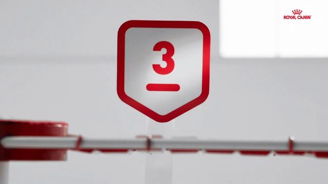 Kitten Food |Start Of Life With Royal Canin