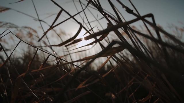 SIRUI 24mm F2.8 1.33X Anamorphic Lens Footage @Toma Film