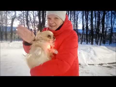 О себе история лыж и коньков смотреть онлайн