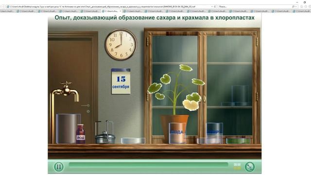 Опыт, показывающий образование сахара и крахмала в хлоропластах