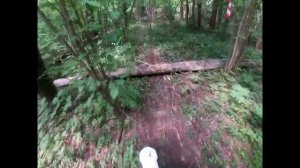 Земное Притяжение 2022