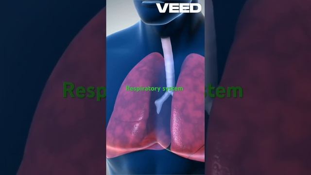 With Out Oxygen Humen Canot Live For A Few Minutes #biology #science