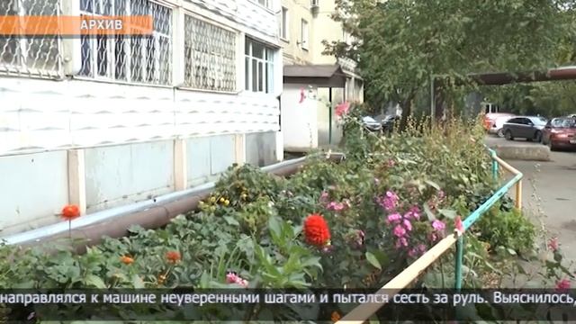 Жительница Петропавловска поблагодарила полицейского за спасение мужа смотреть онлайн