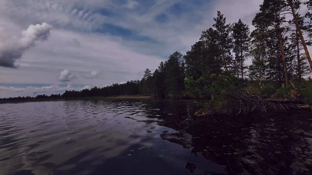 ПРОТОКА.ПОХОД ПО БОЛОТАМ.ГАДЮКА АТАКУЕТ.