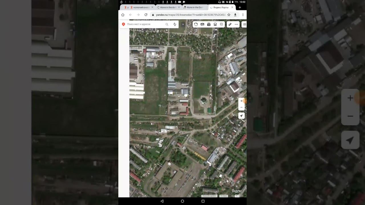 когда паразиты не видят полнои картины смотреть онлайн