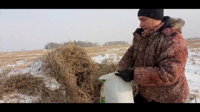 За соломой, газом и водой! смотреть онлайн
