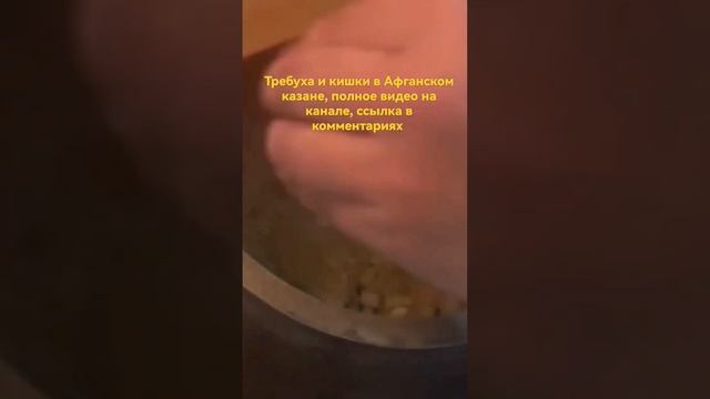 куырдак из шек карын смотреть онлайн