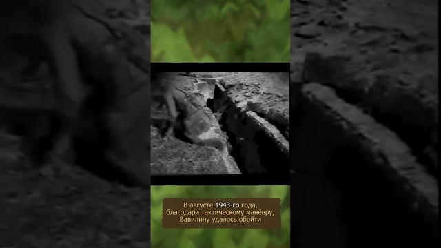 Подвиг Алексея Вавилина-что он совершил? смотреть онлайн