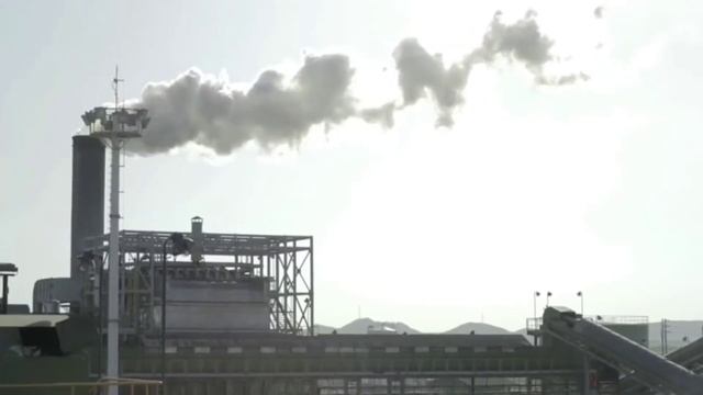 Proceso De Elaboración Del Etanol A Partir De La Caña De Azúcar.