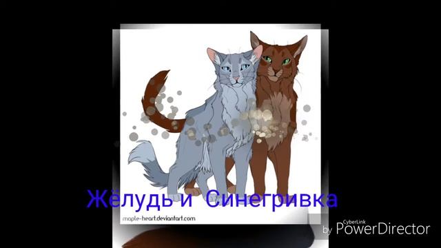 Коты воители - пары смотреть онлайн