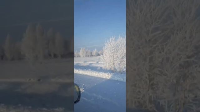 первый лёд в Сибири(рыба на удалёнке)